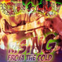 Stay Cold : Rising from the Cold